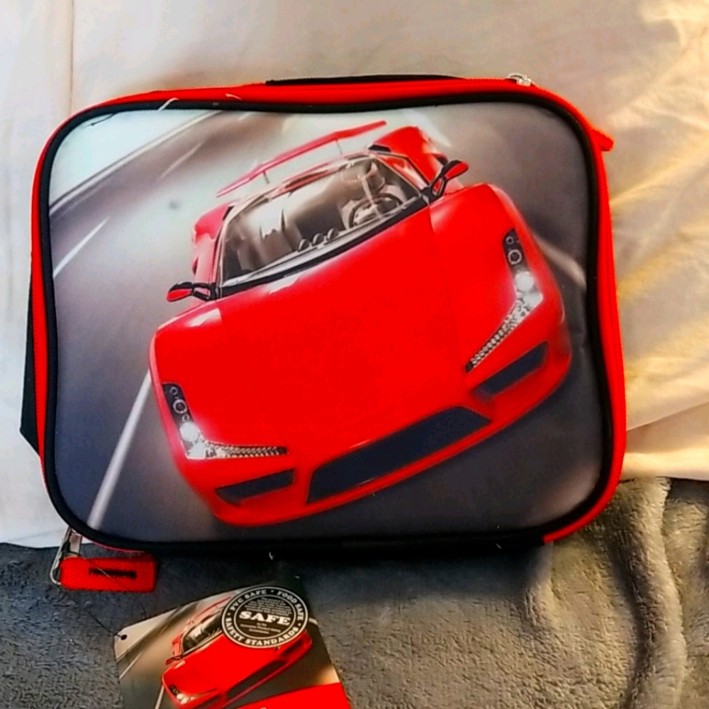 Fridge pak lunch tote